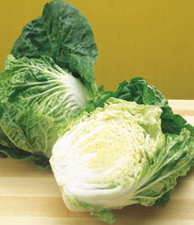 Orient Express Chinese Cabbage